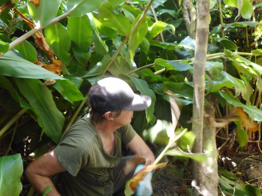 25. February 2020. Trish Booth.JPG