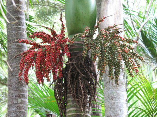 348458904_257170656802158_1485047642831570352_n (1).jpg