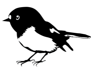 Tomtit Logo.PNG