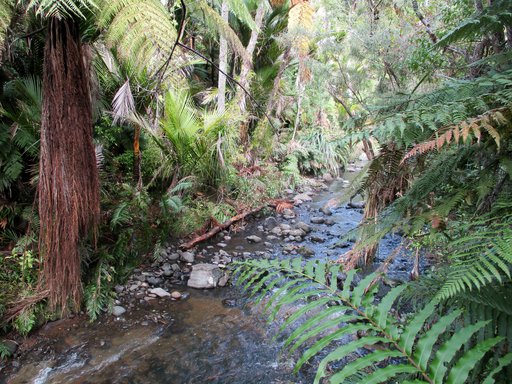 EmbeddedImage (1).jpg