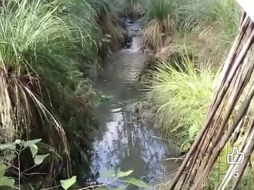 Hibernia Stream 2026.jpg