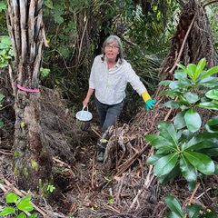 Sara Rishworth removing bait from bait stations.
