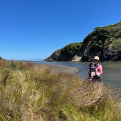 Anawhata Beach and Stream