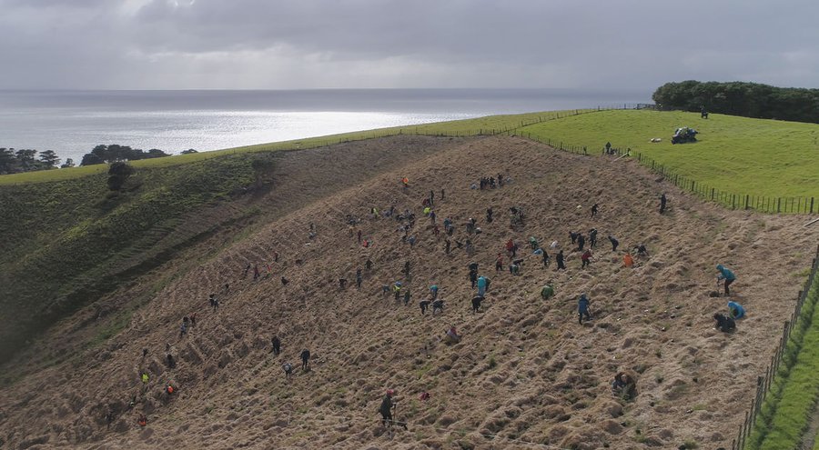 four_col_high_FFTW_EP03__Tāwharanui__Open_Sanctuary_planting_day_Credit_Peter_Young-58.jpg
